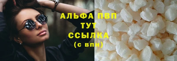 трава Белокуриха
