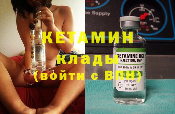 трава Белокуриха