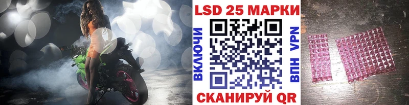 как найти закладки  Светлогорск  Марки NBOMe 1,8мг 