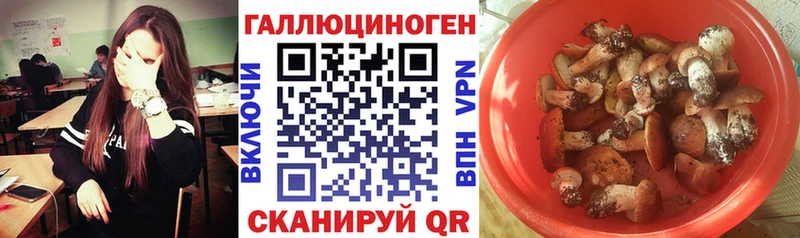 Галлюциногенные грибы Magic Shrooms  Светлогорск 