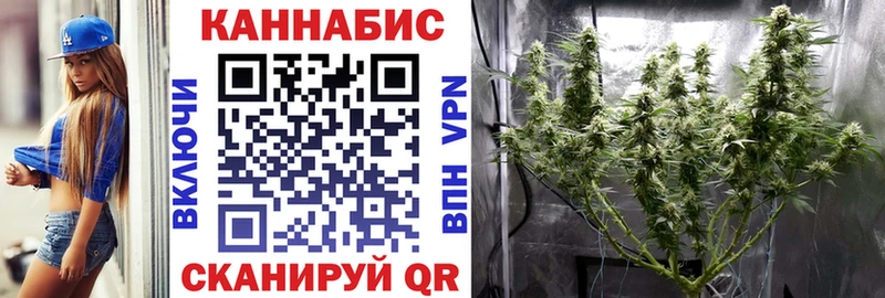 МАРИХУАНА тримм как найти наркотики Светлогорск